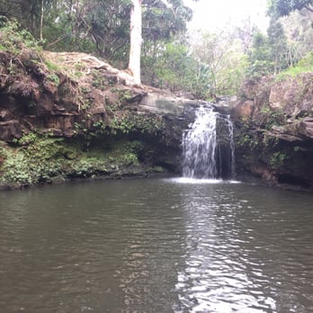 Hike Maui - Tours Near Me - Kahului, Hawaii