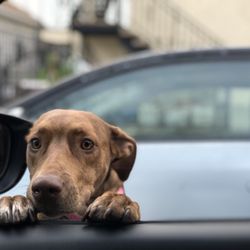 She wants to go to the park