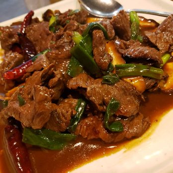 Lan Pan Asian Cafe - Mongolian Beef - Pan Asian Near Me - Miami, Florida
