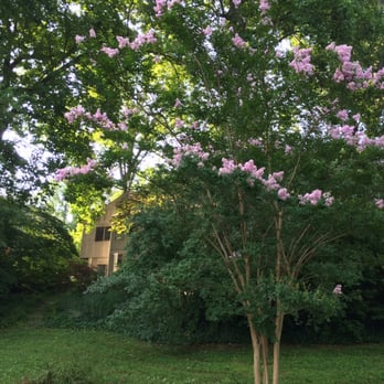 Lake Braddock Community - Contemporary homes on Raintree Road - Homeowner Association Near Me - Burke, Virginia Lake Braddock Community - Contemporary homes on Raintree Road - Homeowner Association Near Me - Burke, Virginia
