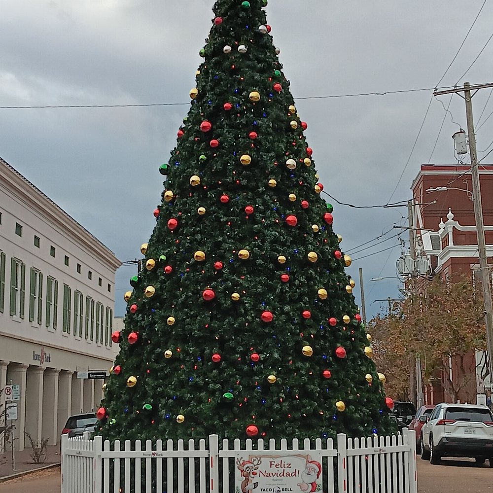 Darby's Gifts & Decorative Accessories - The downtown Christmas tree just steps from the shop. - Accessories Near Me - Natchez, Mississippi