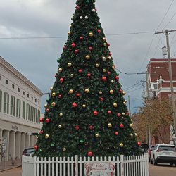 Darby's Gifts & Decorative Accessories - The downtown Christmas tree just steps from the shop.
