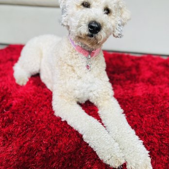 1. Tails And Scales Pet Services