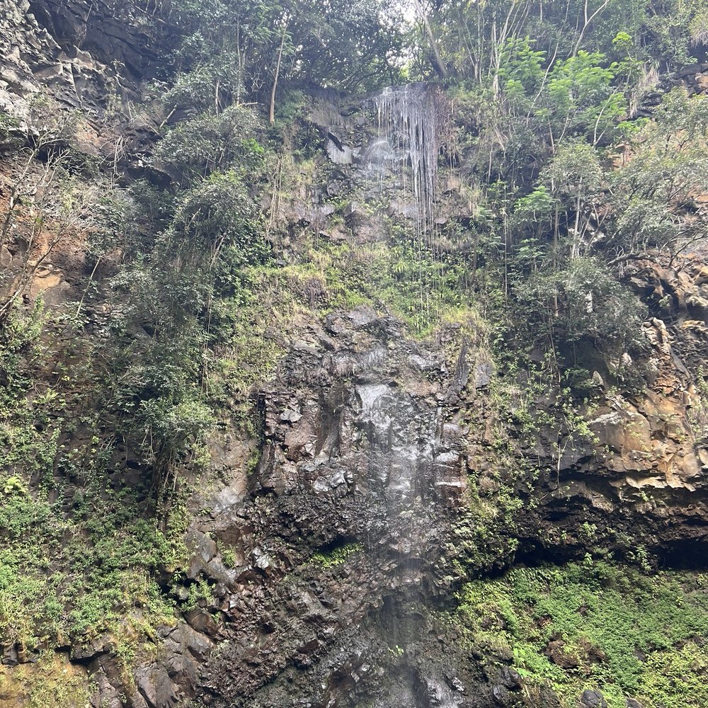 Kayak Wailua Tours - Uluwehi falls - Tours Near Me - Kapaa, Hawaii