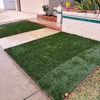 New Gen Landscaping  - After everything was all set we finally installed the marathon fescue - Landscaping Near Me