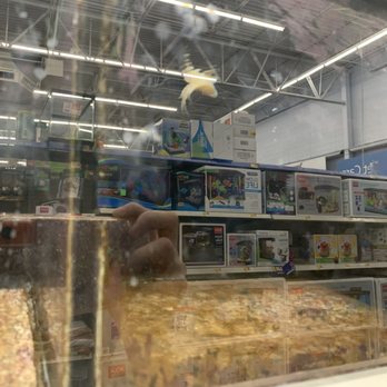Walmart Supercenter - Dead Oscar. It's been dead for a few days. Oscars are typically dark. It's been dead for awhile! - Department Stores Near Me - Apache Junction, Arizona