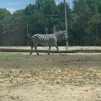 Zootastic Park - Zoos Near Me - Troutman, North Carolina Zootastic Park - Zoos Near Me - Troutman, North Carolina