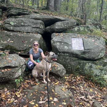 Mashamoquet Brook State Park - Dog was unimpressed by k9 housing here in Connecticut. - Campgrounds Near Me - Pomfret Center, Connecticut Mashamoquet Brook State Park - Dog was unimpressed by k9 housing here in Connecticut. - Campgrounds Near Me - Pomfret Center, Connecticut