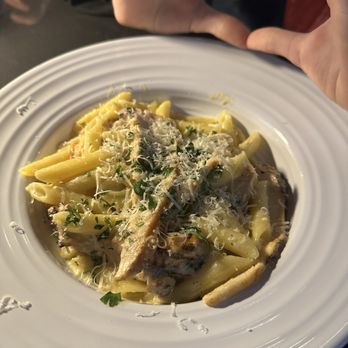 The Sauce - Chicken Alfredo - Italian Near Me - Pooler, Georgia The Sauce - Chicken Alfredo - Italian Near Me - Pooler, Georgia