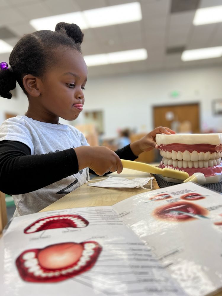 Bryant Woods Montessori - childcare center in Columbia, MD