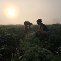 Maitri Farm - Meet your farmers!