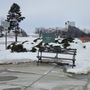 Photo of Willard Park