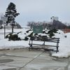 Willard Park gift card