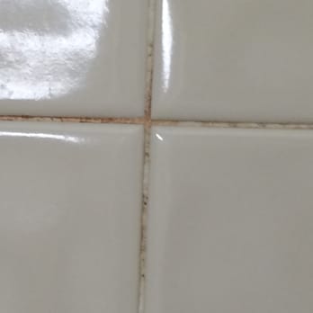 Econo Lodge Biltmore - Grout ... spray with Chlorox, wait 5 minutes, and scrub clean.  How hard is that? - Hotels Near Me - Asheville, North Carolina