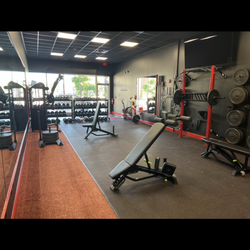 Ankfit