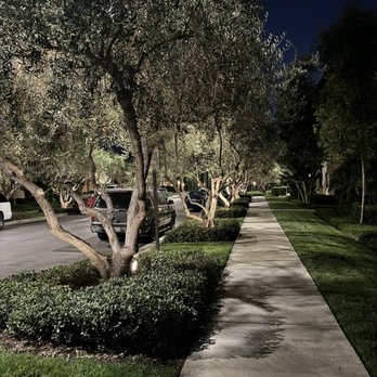 Avella Apartment Homes - Apartments Near Me - Irvine, California