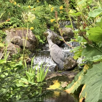 Royal Botanic Garden Edinburgh - Botanical Gardens Near Me - Edinburgh, EDH