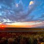 Photo of Great Sand Dunes Oasis