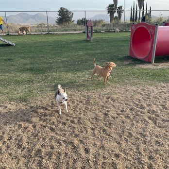 Hound Town Dog Park - Dog Parks Near Me - Moreno Valley, California