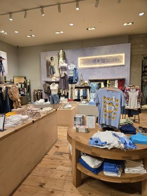 Anthropologie by null
