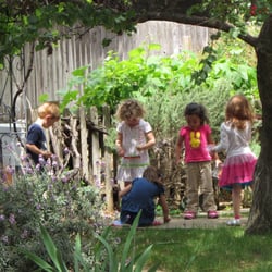 Village Tree Preschool