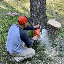 Tree Care Inc