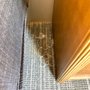 Photo of Country Inn & Suites by Radisson, Salina, KS