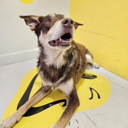 Selfie Cincy - smile room  #selfiecincy #HuskyMix #ReviewsByRL