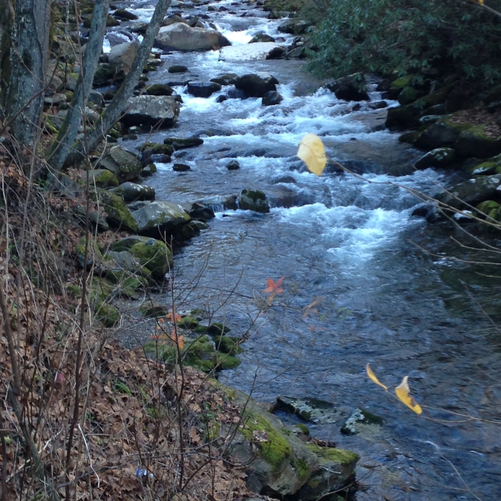 BUMPERS DRIVE IN Updated August 2024 9180 MS Hwy 15, Ackerman