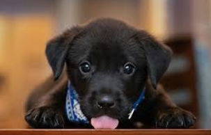 Slide of Dubben Bros Hardware