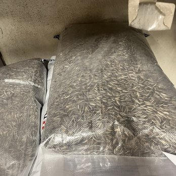 Wes's Pets & Feeds - Really good quality large seeds for a big treat - Pet Stores Near Me - El Monte, California Wes's Pets & Feeds - Really good quality large seeds for a big treat - Pet Stores Near Me - El Monte, California