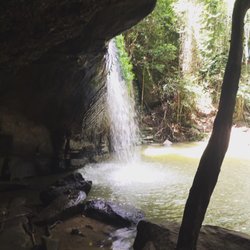 Buderim Forest Park