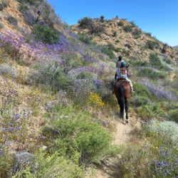 My daughter and Sage on the trail with beautiful wild flowers