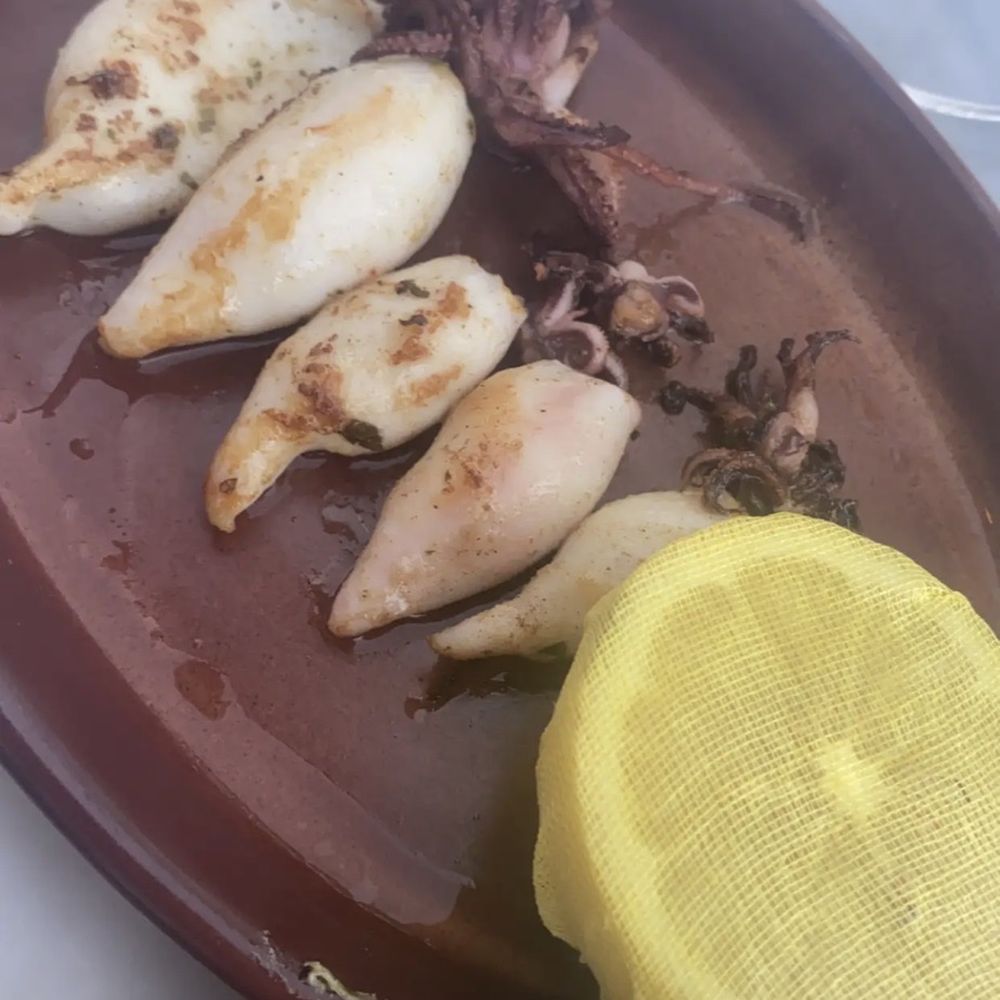 Valentina - Baby squid - Seafood Near Me - Encinitas, California Valentina - Baby squid - Seafood Near Me - Encinitas, California