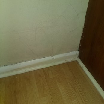 Riverboat Inn and Suites - Another spider with cob webs - Hotels Near Me - Madison, Indiana
