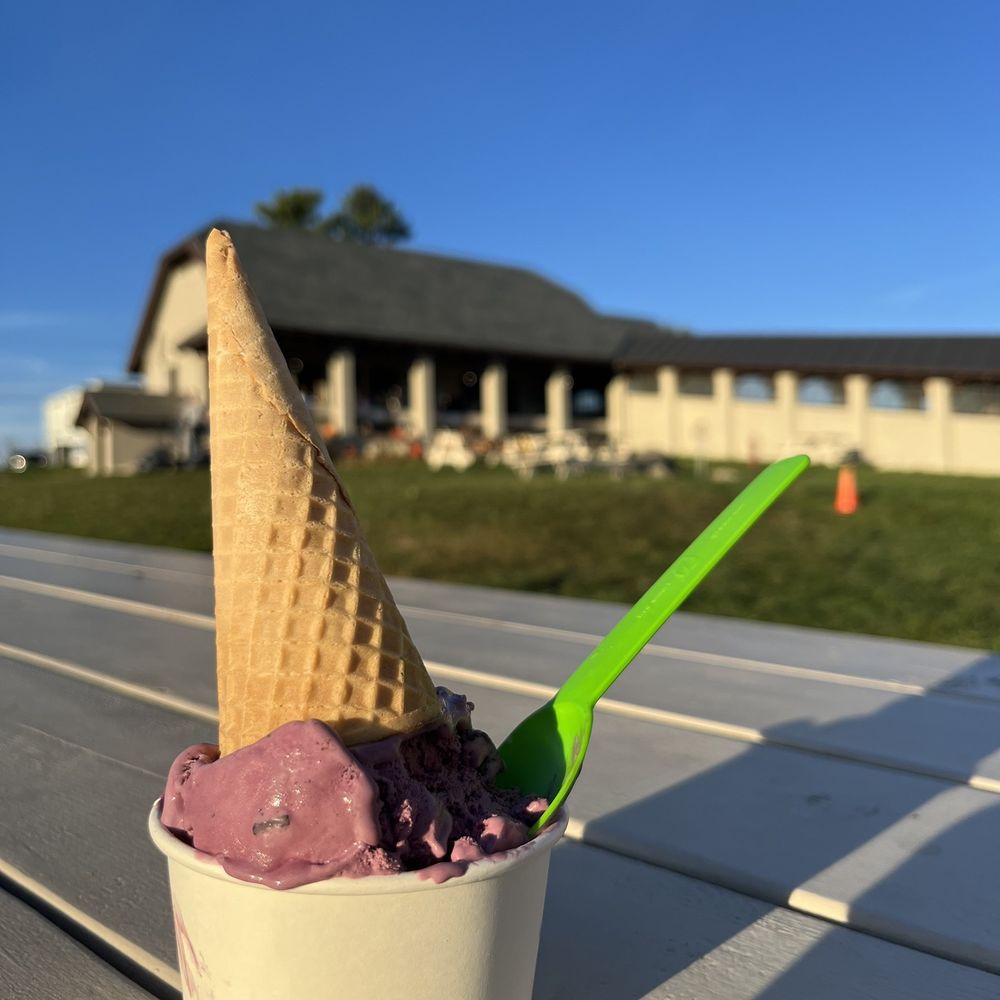 High Lawn Farm - Purple Cow cone upside down in a cup with green spoons - Specialty Food Near Me - Lee, Massachusetts High Lawn Farm - Purple Cow cone upside down in a cup with green spoons - Specialty Food Near Me - Lee, Massachusetts