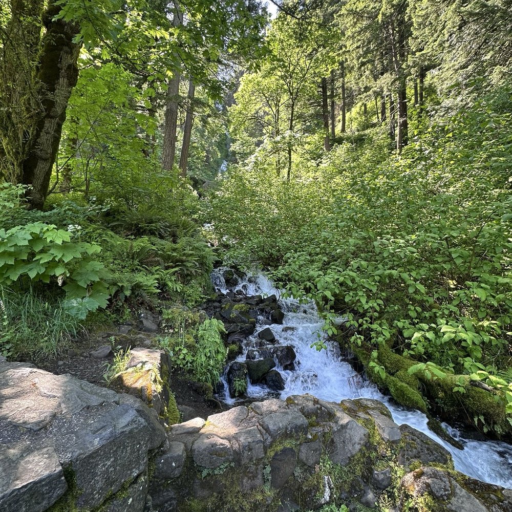 Wahkeena Falls - Parks Near Me - Troutdale, Oregon Wahkeena Falls - Parks Near Me - Troutdale, Oregon