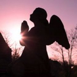 Anam Cara - Intuitive Readings