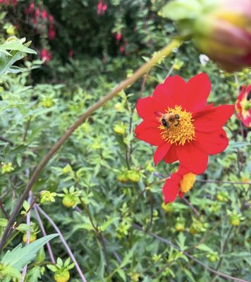 Botanical Garden by null