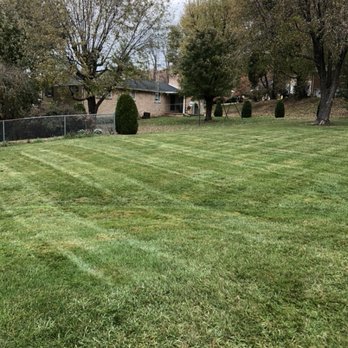 Seven Lawn Care - a freshly mowed lawn - Landscaping Near Me