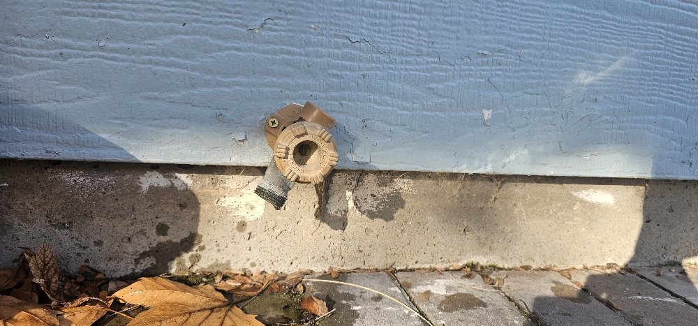 Slide of Handyman Will