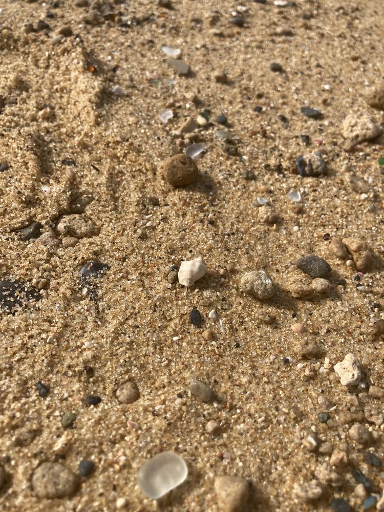 Capitol Beach