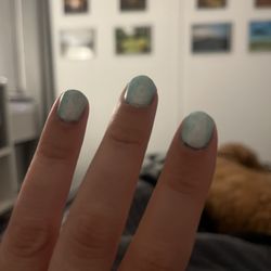 The Nail Gallery
