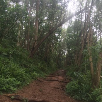 Hoopii Falls - Trail back up to our car - Hiking Near Me - Kapaa, Hawaii Hoopii Falls - Trail back up to our car - Hiking Near Me - Kapaa, Hawaii