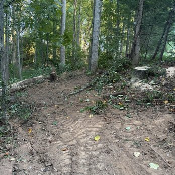Ortiz Tree Service - Unauthorized path cut by skid steer - Tree Services Near Me - Taylors, South Carolina Ortiz Tree Service - Unauthorized path cut by skid steer - Tree Services Near Me - Taylors, South Carolina
