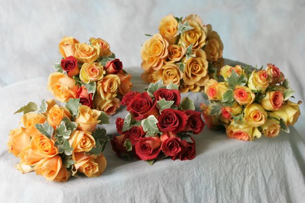 Bridal Bouquets - Our bride bouquets are individual works of art made just for you! Every bloom is hand selected for excellence and beauty. We work hard to ensure that your bouquet is the perfect compliment to your wedding dress. Bridal Bouquets - Our bride bouquets are individual works of art made just for you! Every bloom is hand selected for excellence and beauty. We work hard to ensure that your bouquet is the perfect compliment to your wedding dress.