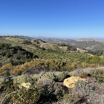 DAOU Vineyards - Wineries Near Me - Paso Robles, California