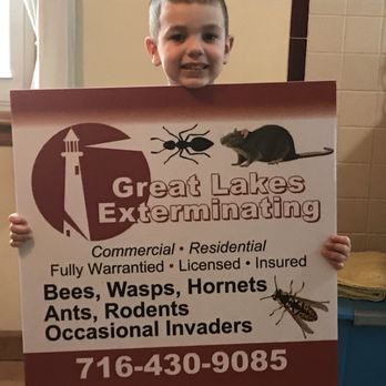 Great Lakes Exterminating - Pest Control Near Me - Cheektowaga, New York