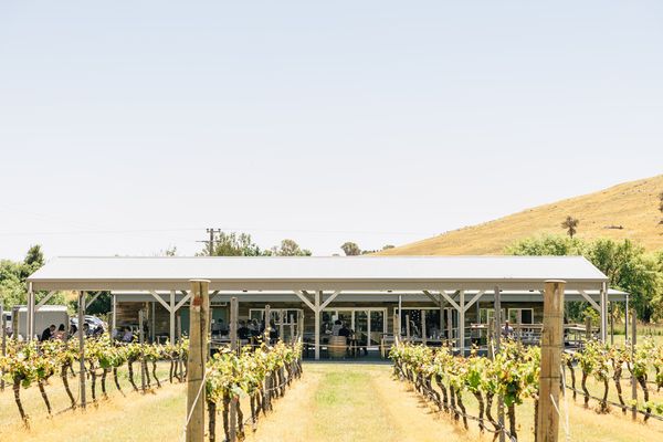 Four Winds Vineyard by null