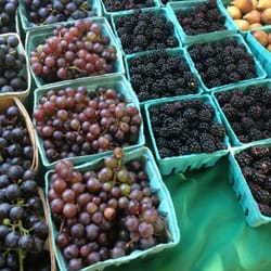 West Nashville Farmers Market